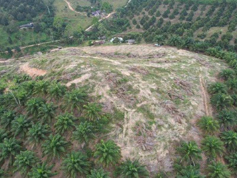 Site — ก่อนก่อสร้าง — ภาพ Drone พื้นที่โครงการ